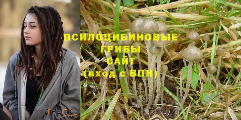 Галлюциногенные грибы MAGIC MUSHROOMS  купить наркотик  shop клад  Верхняя Тура 